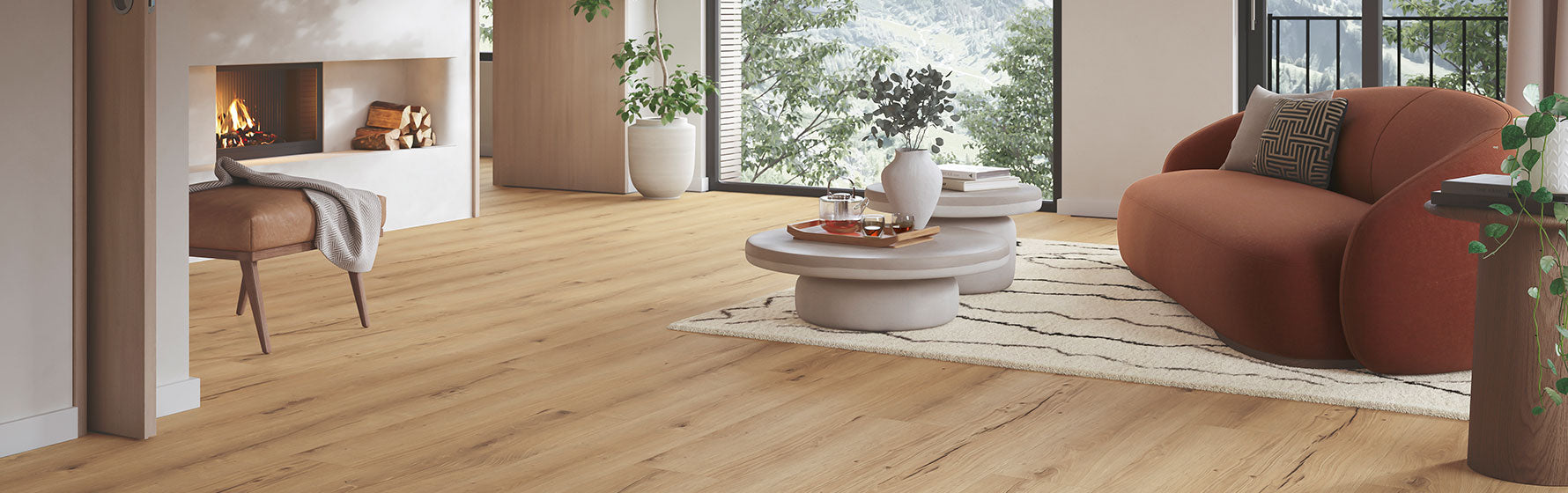 vinilines-grindys-baneris